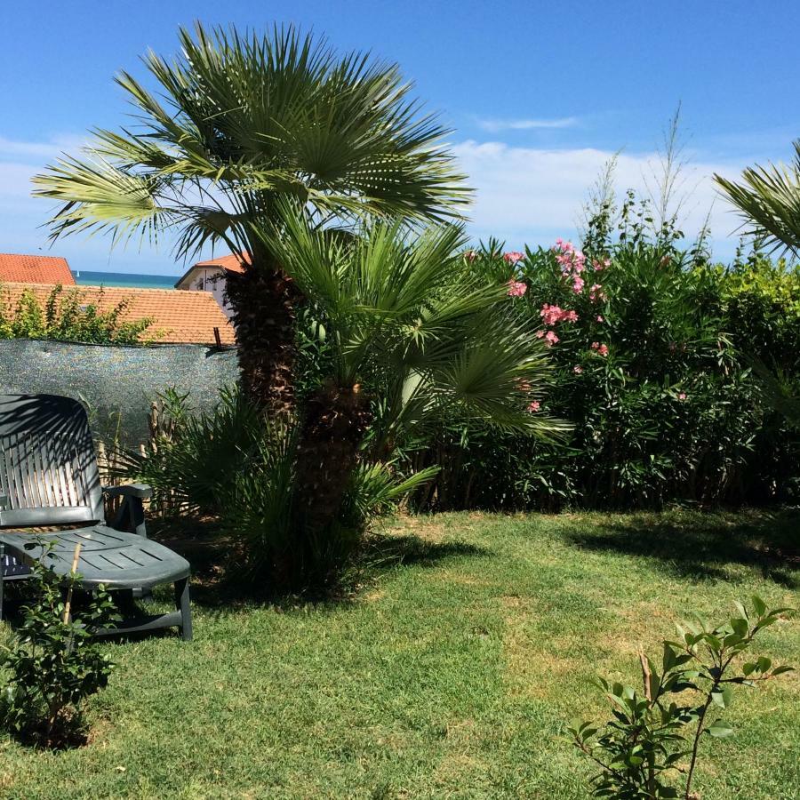 Bed and Breakfast Casa "La Conchiglia" Civitanova Marche Exterior foto